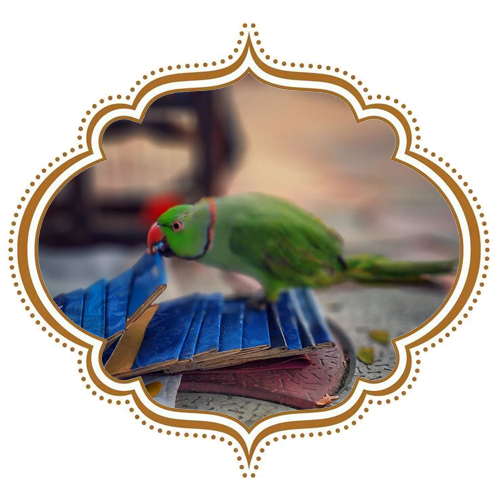 Parrot Astrology